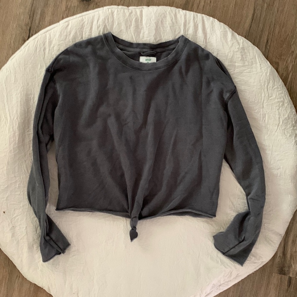 NWOT aerie cropped sweatshirt